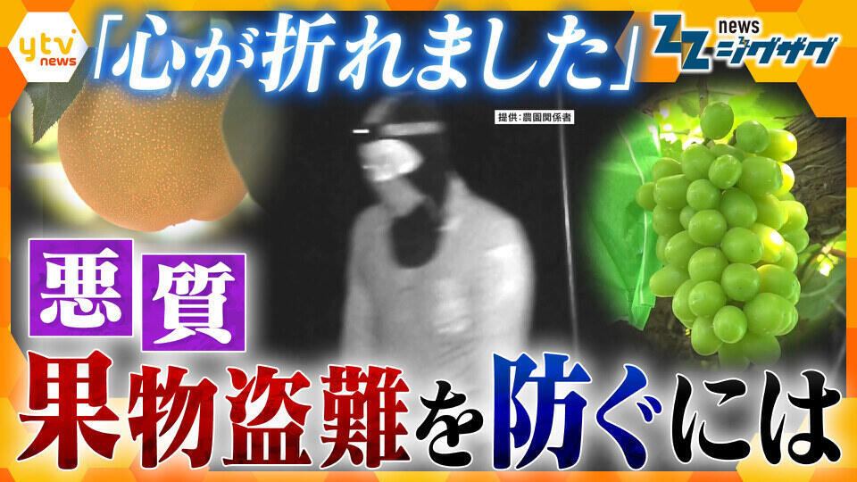 サタデーLIVE ニュース ジグザグ