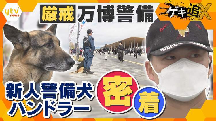 厳選！ytvニュース特集