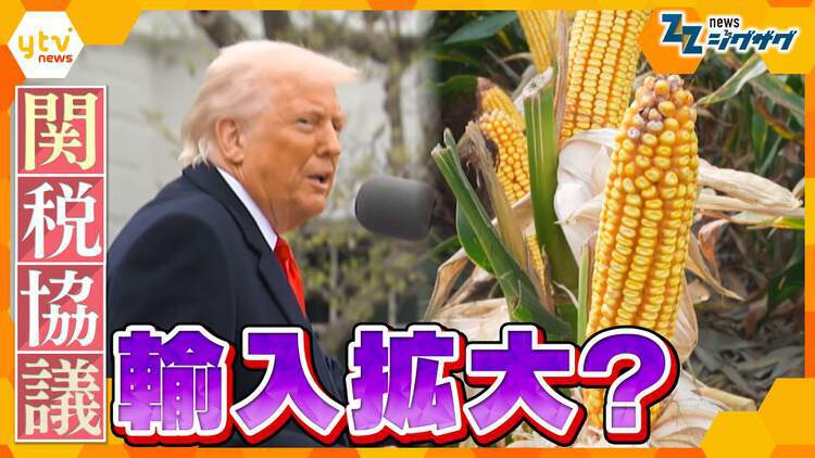 サタデーLIVE ニュース ジグザグ