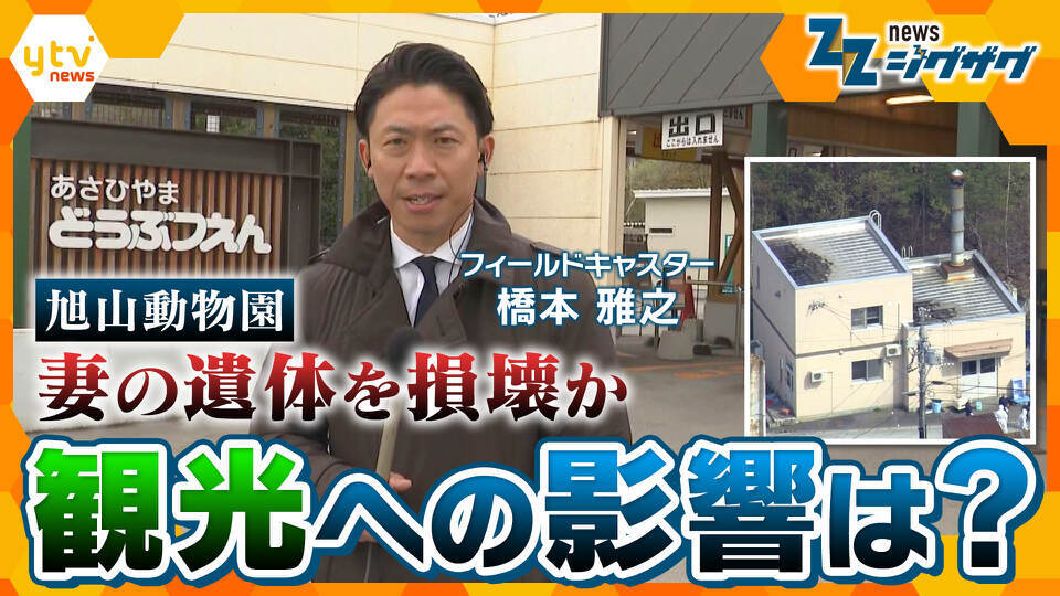 サタデーLIVE ニュース ジグザグ