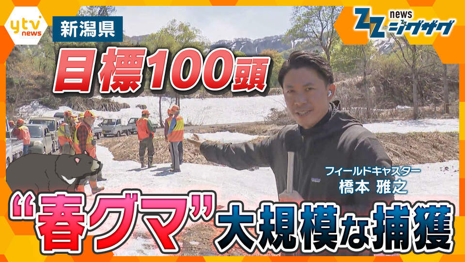 サタデーLIVE ニュース ジグザグ