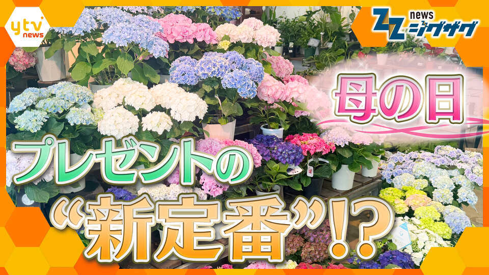 サタデーLIVE ニュース ジグザグ