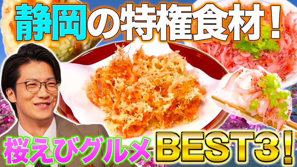 秘密のケンミンSHOW極