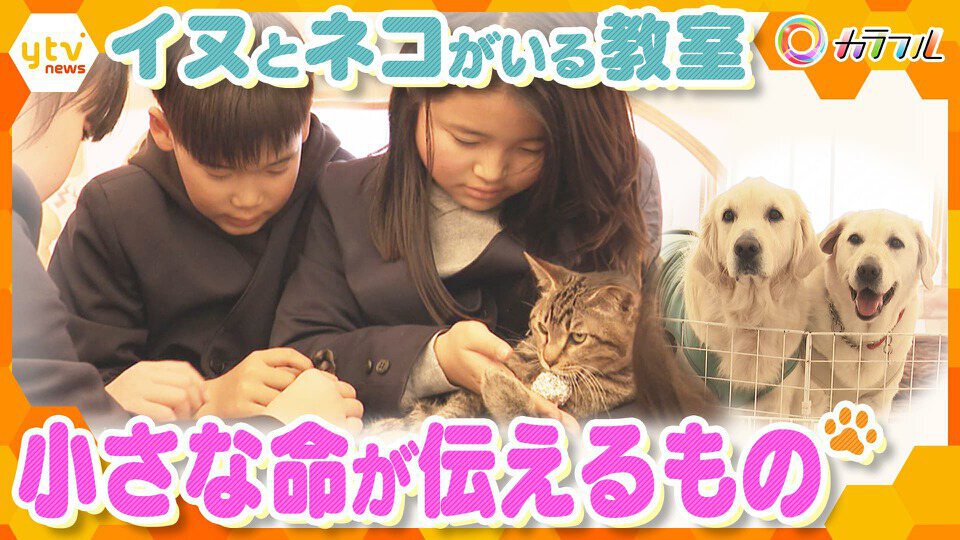 厳選！ytvニュース特集