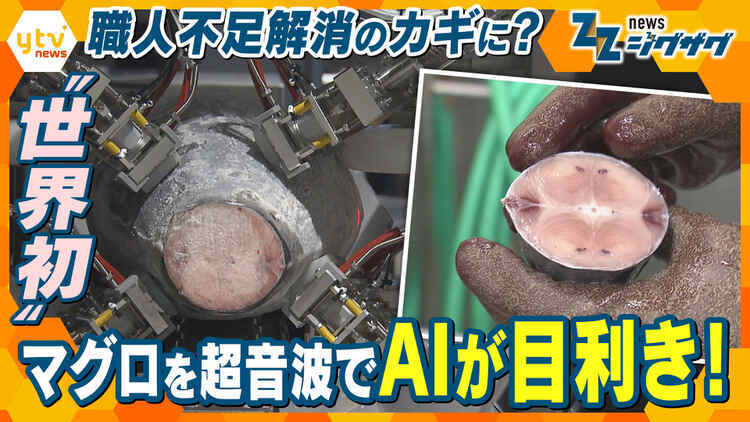 サタデーLIVE ニュース ジグザグ