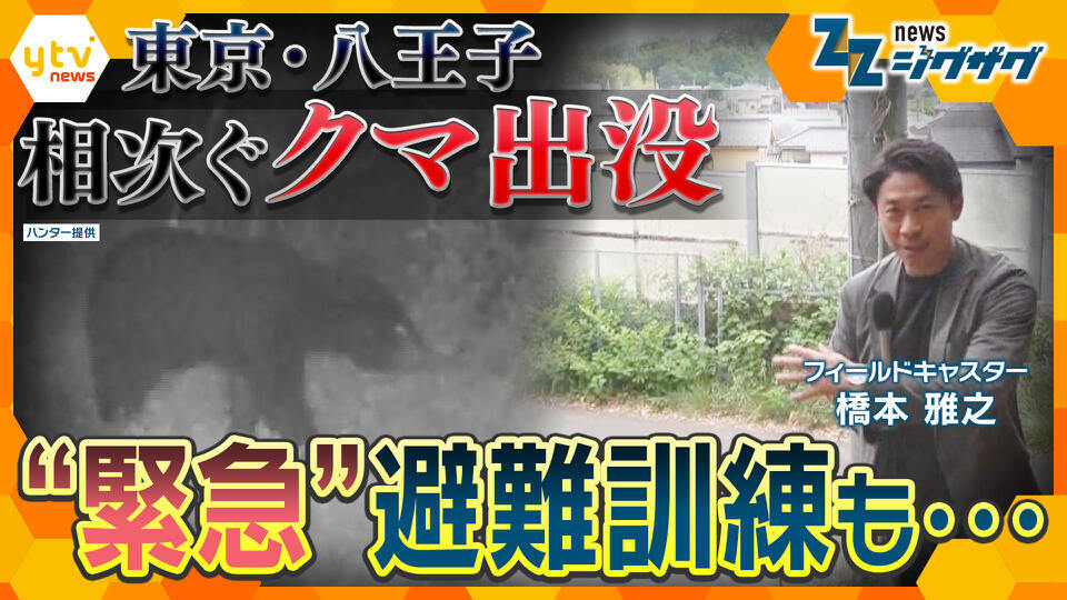 サタデーLIVE ニュース ジグザグ