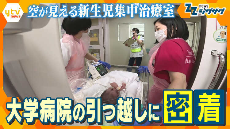 サタデーLIVE ニュース ジグザグ