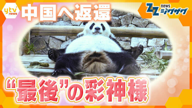 サタデーLIVE ニュース ジグザグ