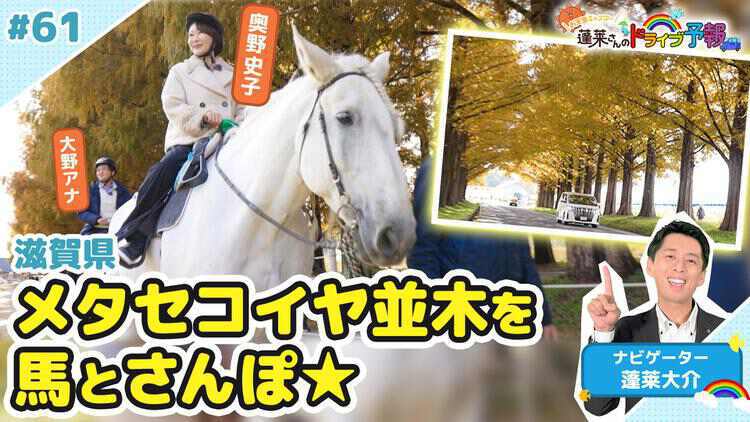 蓬莱さんのドライブ予報