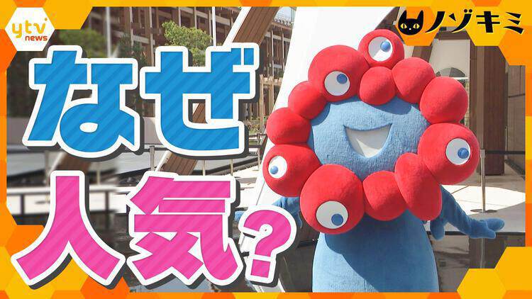 厳選！ytvニュース特集