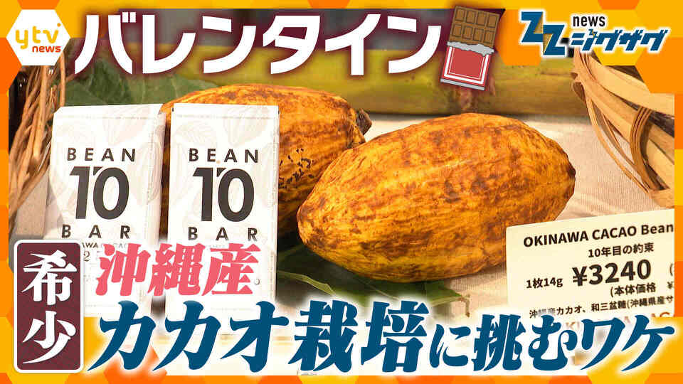 サタデーLIVE ニュース ジグザグ