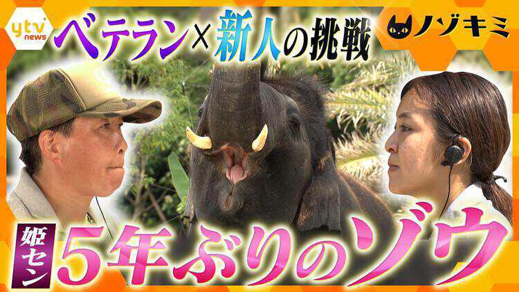 厳選！ytvニュース特集