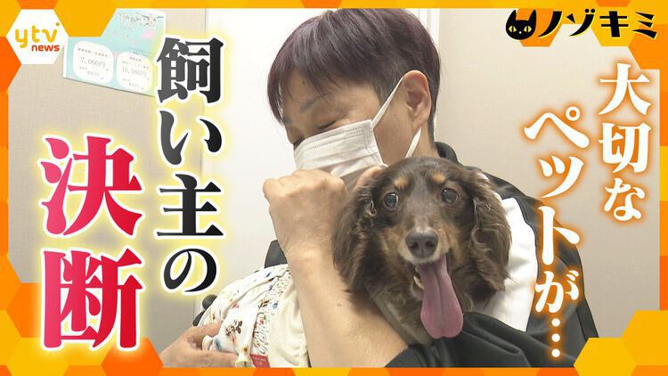 厳選！ytvニュース特集