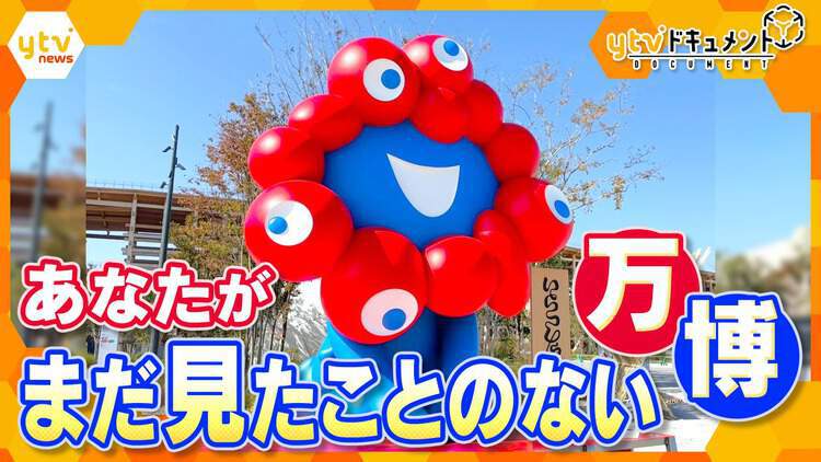 厳選！ytvニュース特集