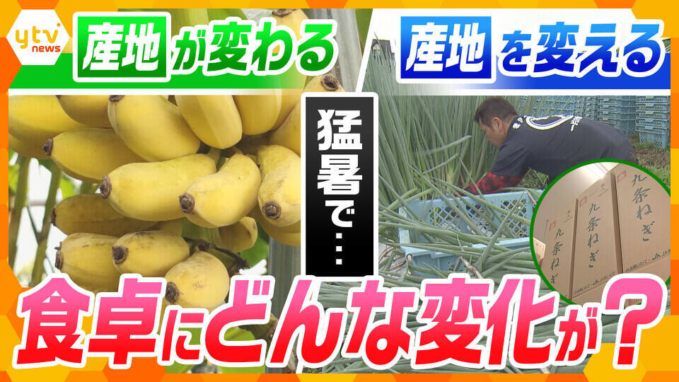 サタデーLIVE ニュース ジグザグ