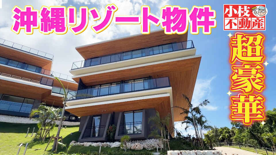 無料テレビで発見！仰天！！プレミアもん！！！ 土曜はダメよ！を視聴する