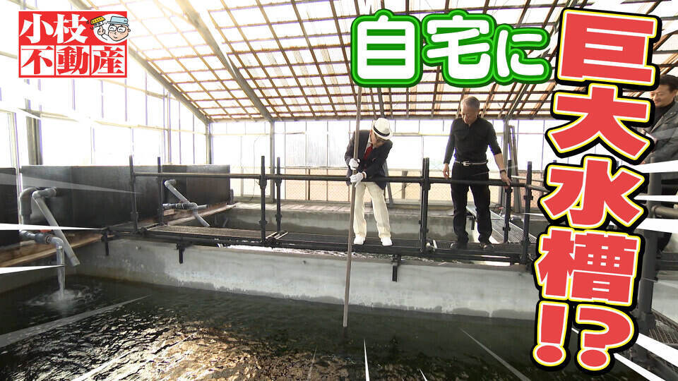 発見！仰天！！プレミアもん！！！ 土曜はダメよ！