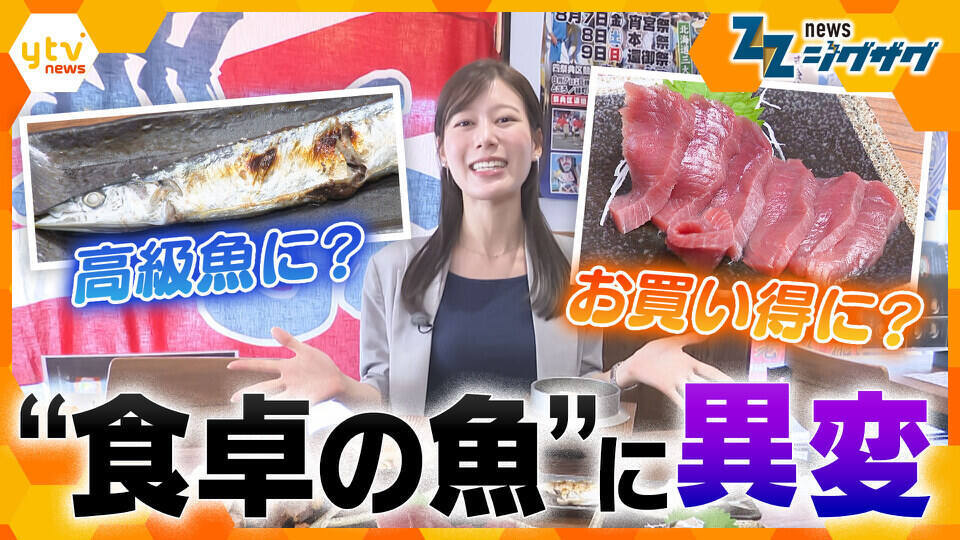 サタデーLIVE ニュース ジグザグ