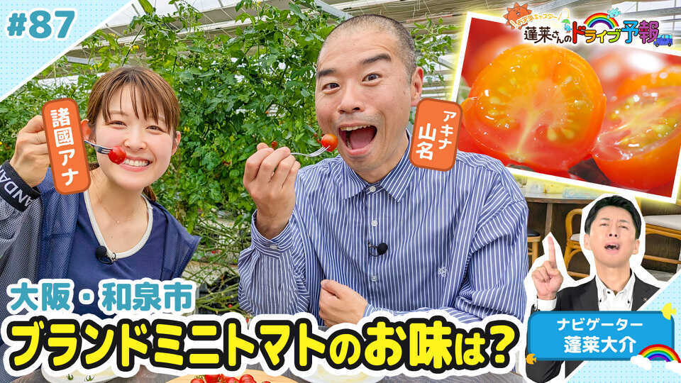 蓬莱さんのドライブ予報