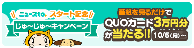 キャンペーン