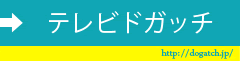 テレビドガッチ