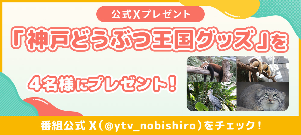 中継先で選ばれた神戸どうぶつ王国のグッズを、抽選で４名様にプレゼント！