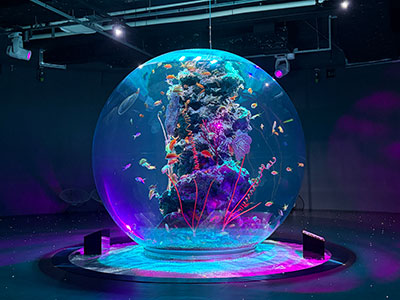 AQUARIUM × ART átoa　ペア入場券 5組10名様