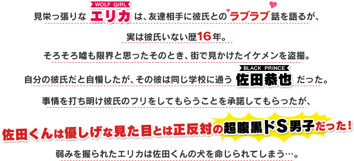 見栄っ張りなエリカは、友達相手に彼氏とのラブラブ話を語るが、
								実は彼氏いない歴１６年。
								そろそろ嘘も限界と思ったそのとき、街で見かけたイケメンを盗撮。
								自分の彼氏だと自慢したが、その彼は同じ学校に通う佐田恭也だった。
								事情を打ち明け彼氏のフリをしてもらうことを承諾してもらったが、
								佐田くんは優しげな見た目とは正反対の超腹黒ドS男子だった！
								弱みを握られたエリカは佐田くんの犬を命じられてしまう…。
								