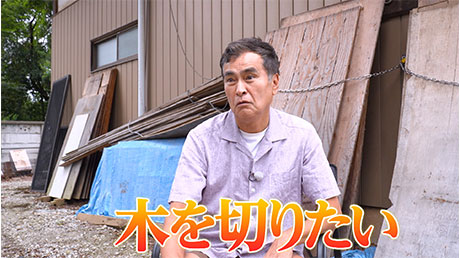 石原良純が「チェンソー」で大木を切る！