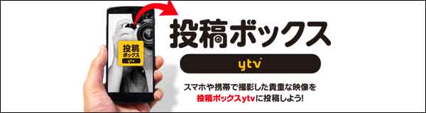投稿ボックスytv
