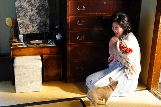 ストーリーイメージ