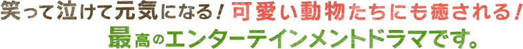 笑って泣けて元気になる！ 可愛い動物たちにも癒される！最高のエンターテインメントドラマです。