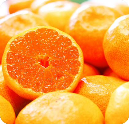 ”みかんの日”にちなんで！みかんPRステージ