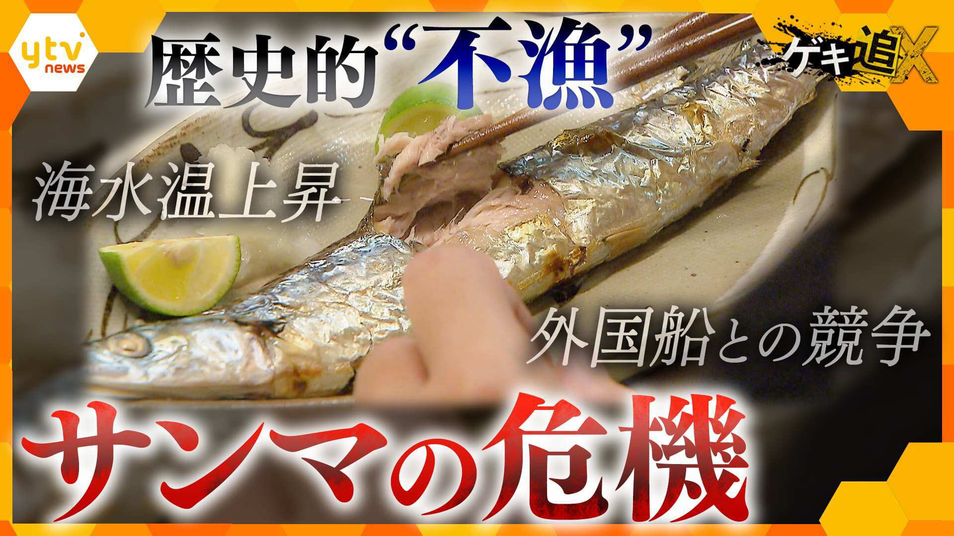 10日発送 official⭐︎トゲトゲさん専用 ゲキ追X | ten. | 読売テレビ