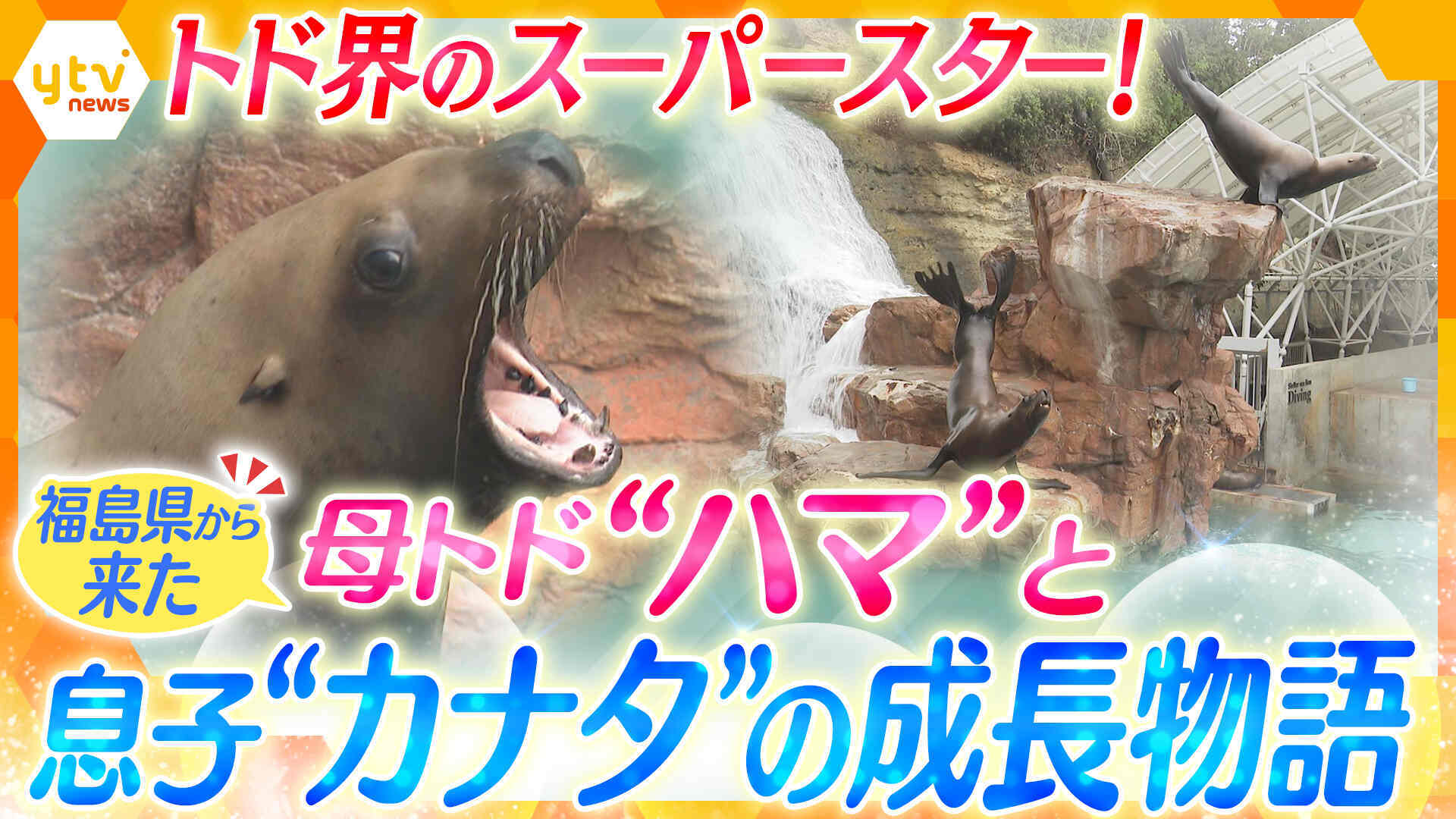 アナタの味方！お役に立ちます！ | ten. | 読売テレビ