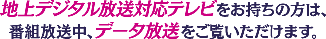 地上デジタル放送対応テレビをお持ちの方は、 番組放送中、データ放送をご覧いただけます。