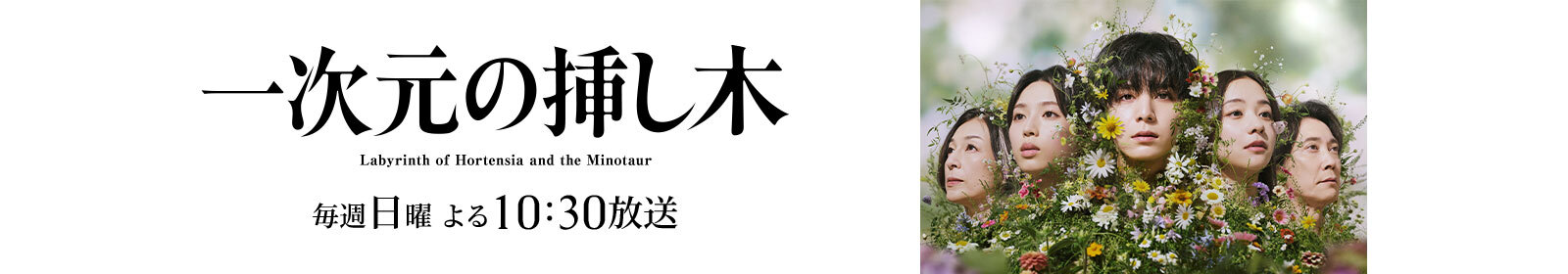 一次元の挿し木