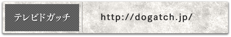 テレビドガッチ